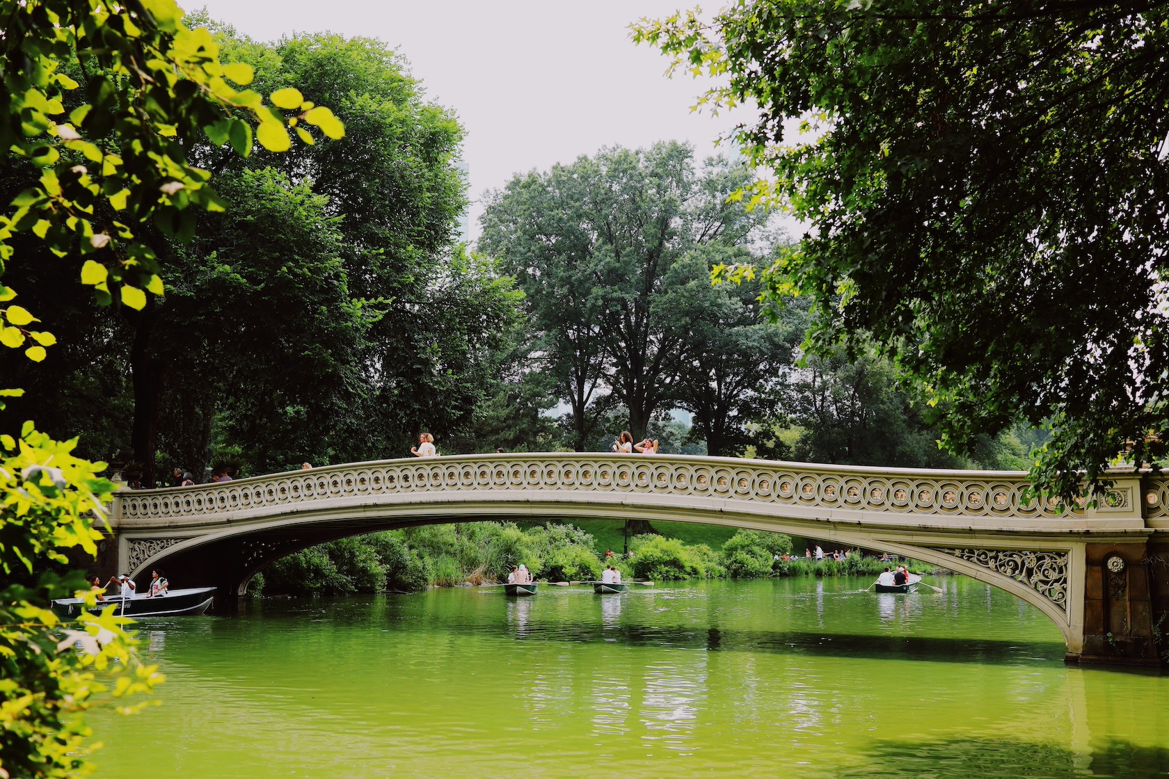 Summer in Central Park in New York City